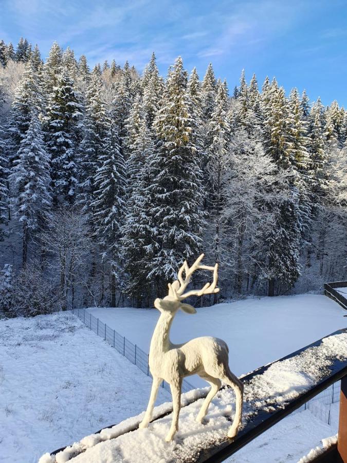 Apartament Ozon Poiana Brasov Exterior photo